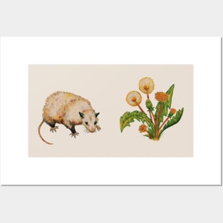 Possum and Dandelions Posters and Art